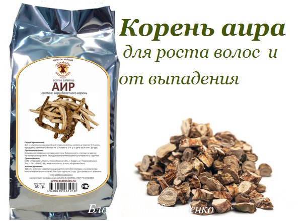 Корінь аїру для волосся. Як застосовувати аїр від випадіння волосся, для росту, маски, ополіскування