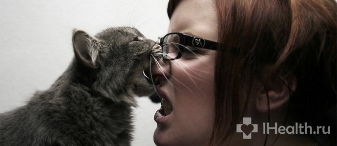 Що робити, якщо вкусила кішка і опух палець: до якого лікаря йти