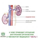 Захворювання нирок: особливості патологій у чоловіків